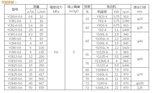 YCB2.5-0.6圆弧齿轮泵