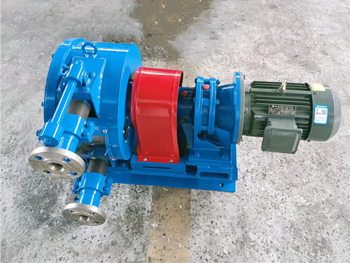 IHP100软管泵